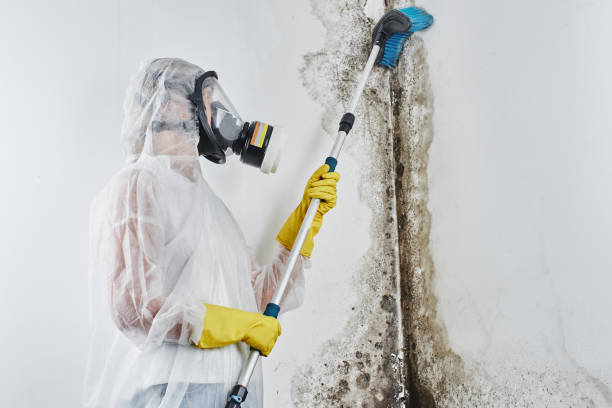 Water Damage Restoration in Atlantic City, NJ