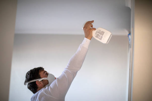 Best Toxic Mold Removal  in Atlantic City, NJ