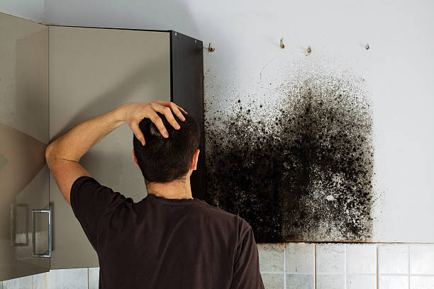 Professional Mold Removal in Atlantic City, NJ